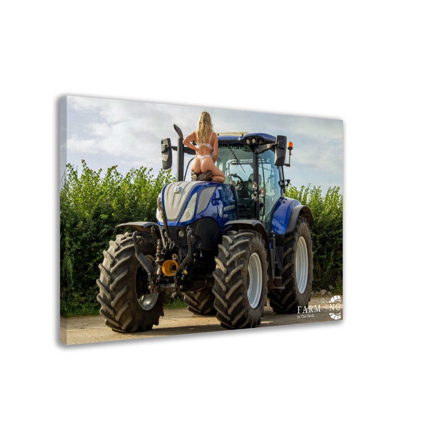 New Holland Canvas