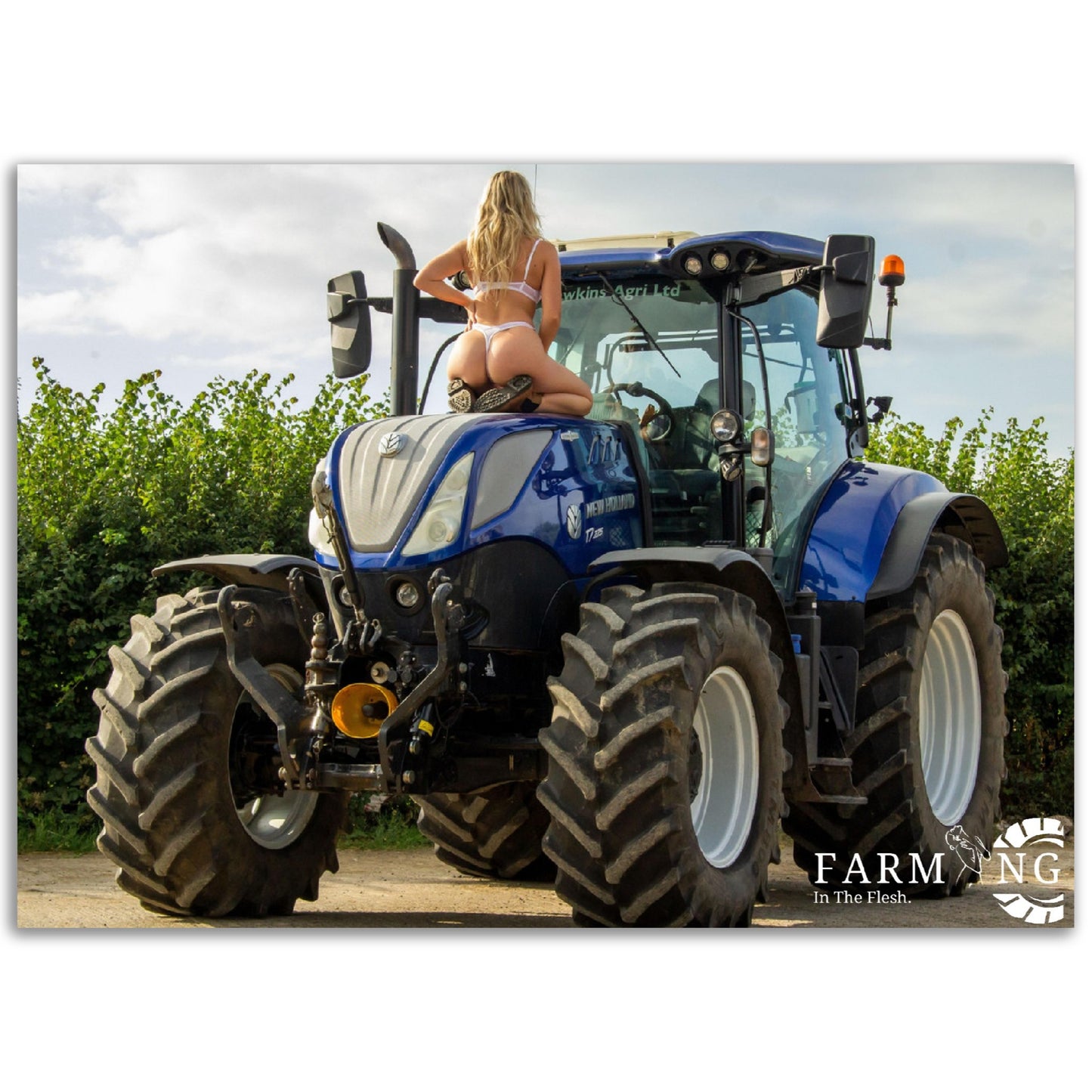 New Holland Poster