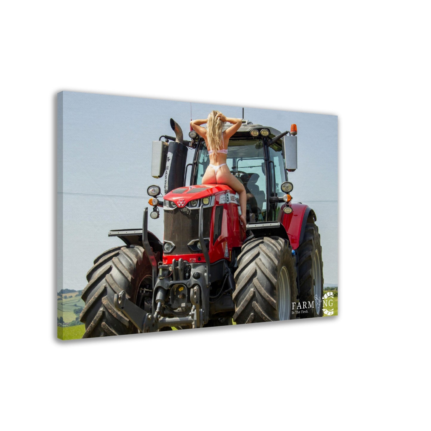 Massey Ferguson Canvas