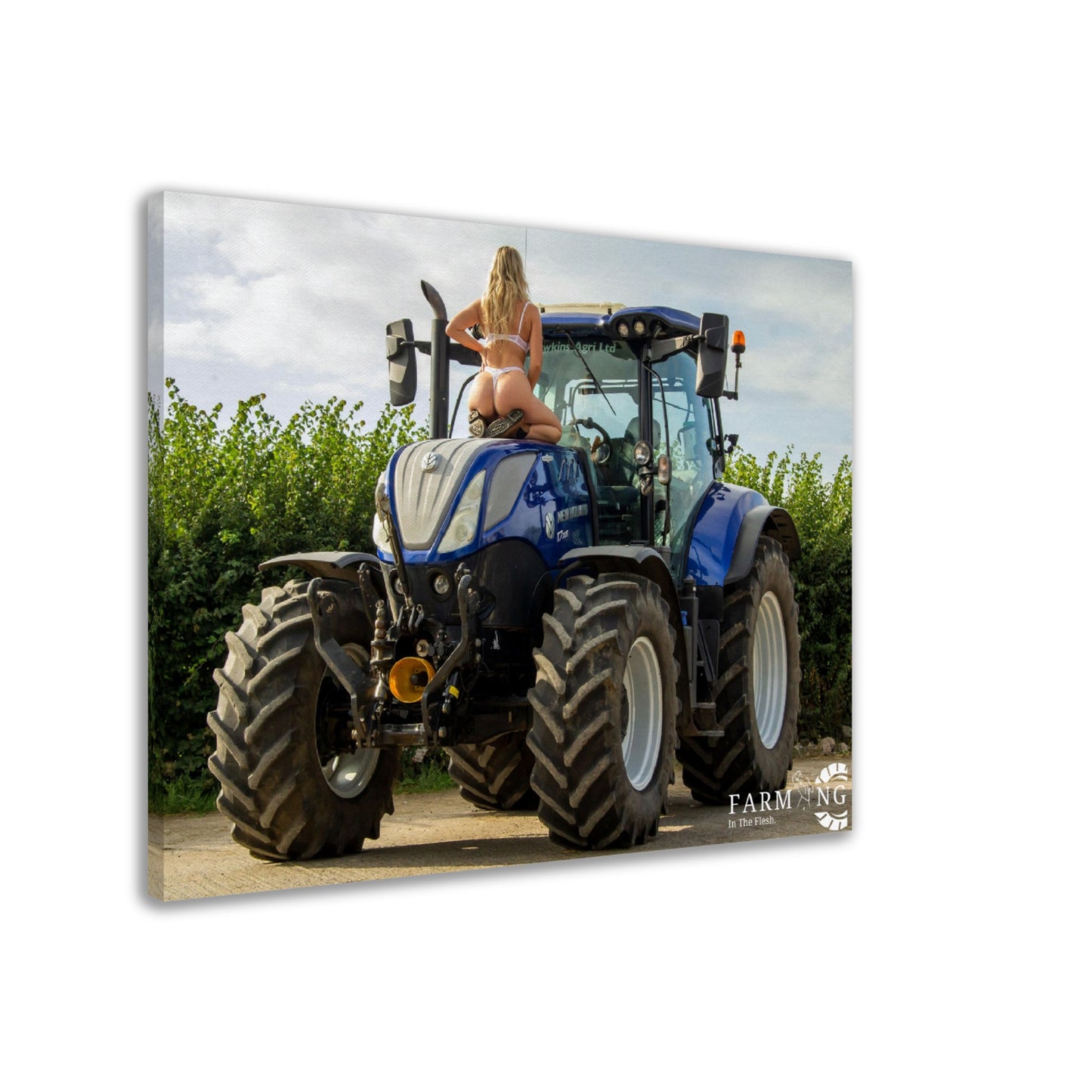 New Holland Canvas