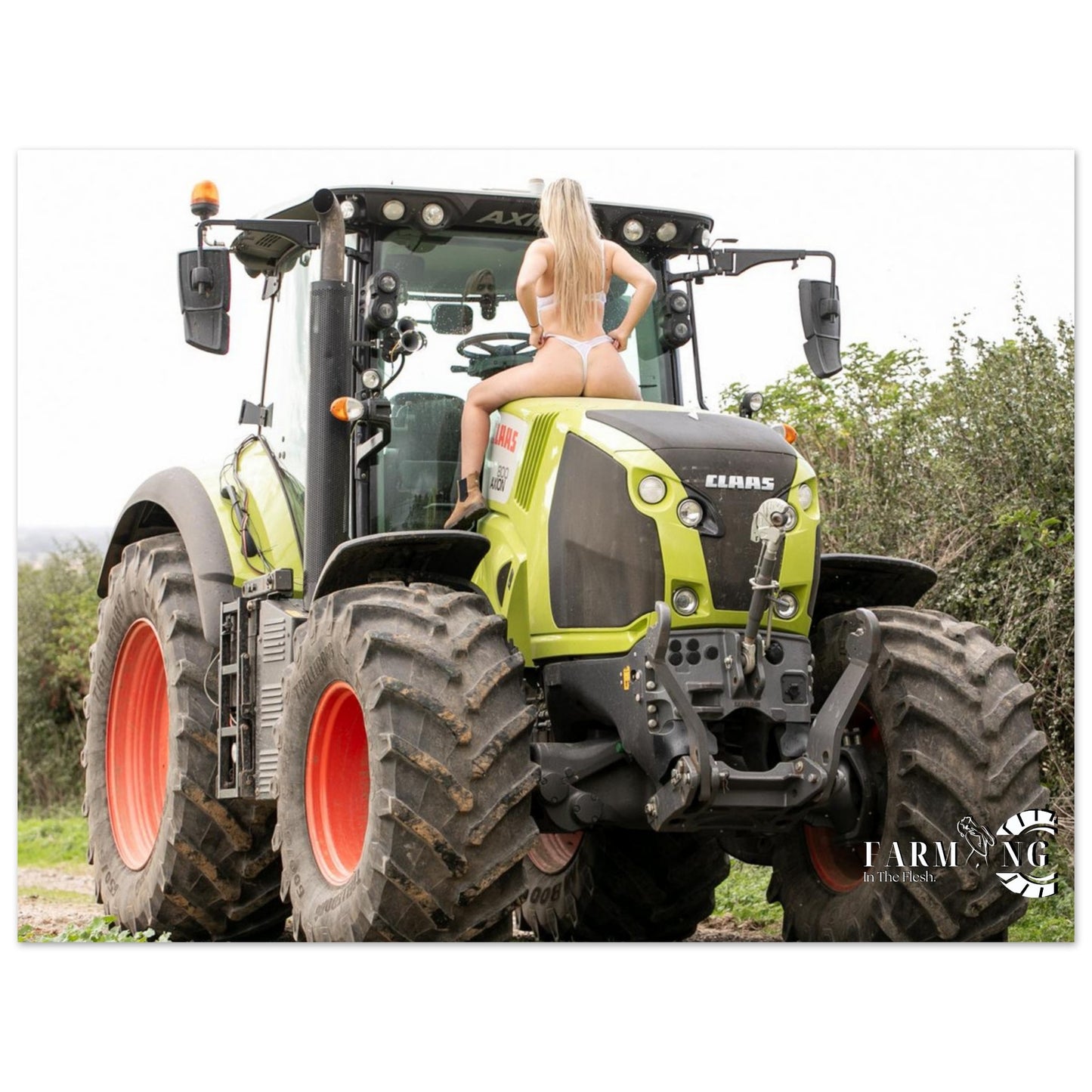 Claas Poster