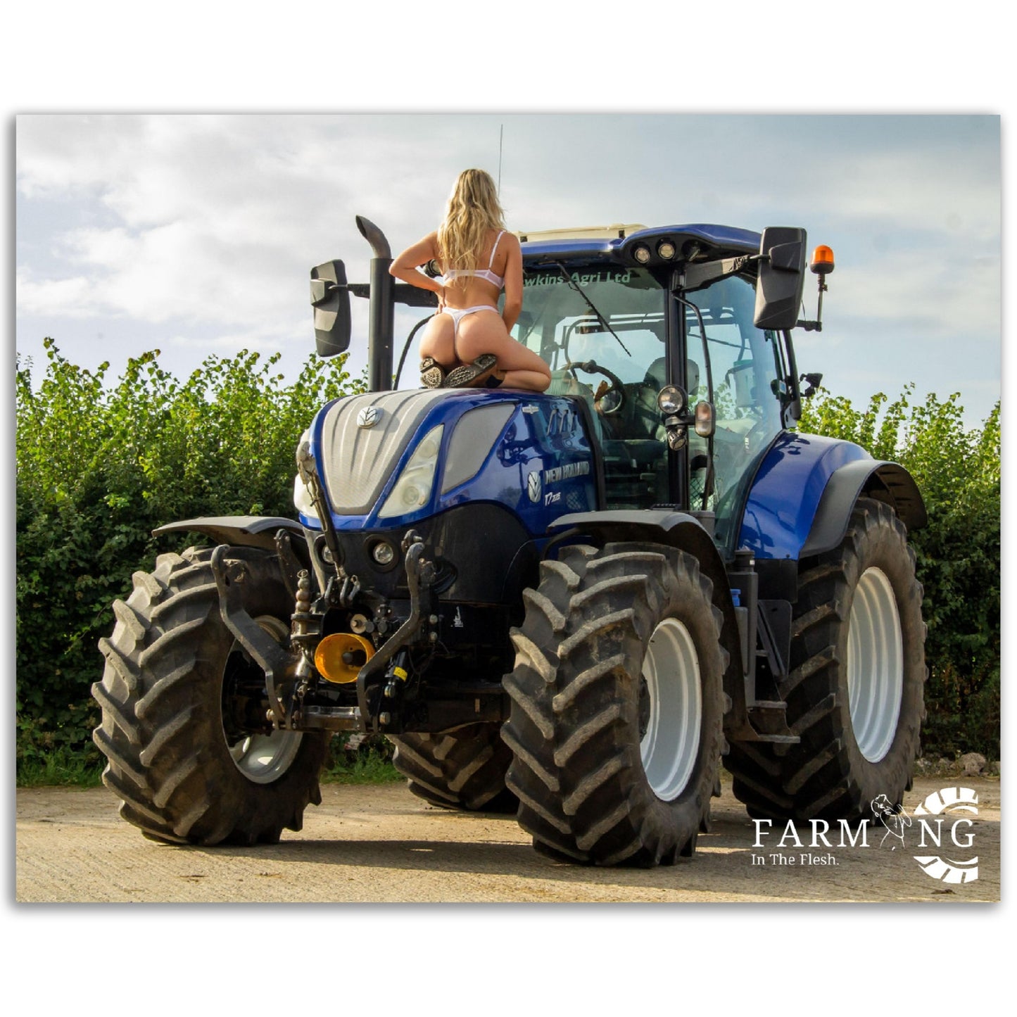 New Holland Poster