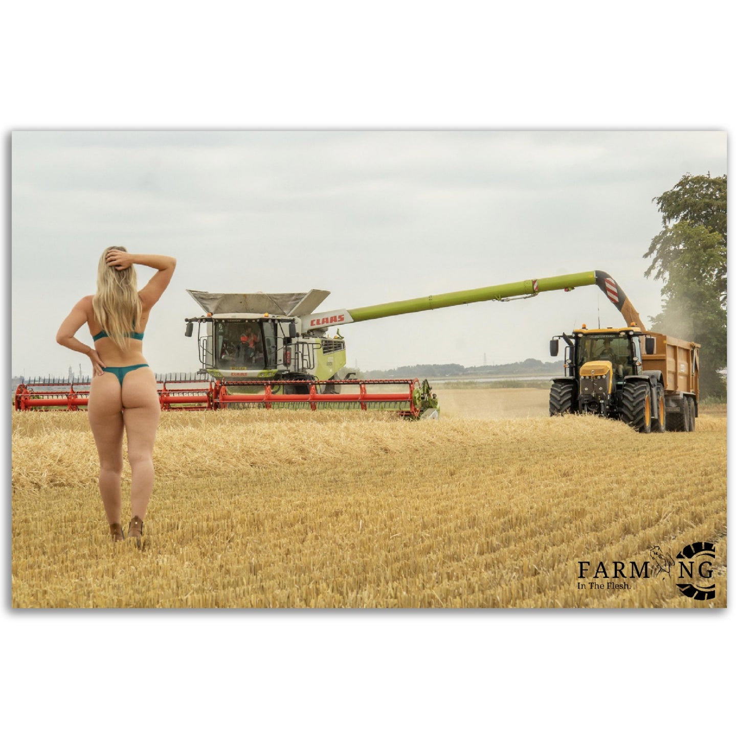 Olly Blogs X Farming In The Flesh Poster