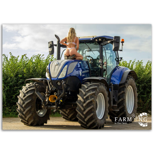 New Holland Poster