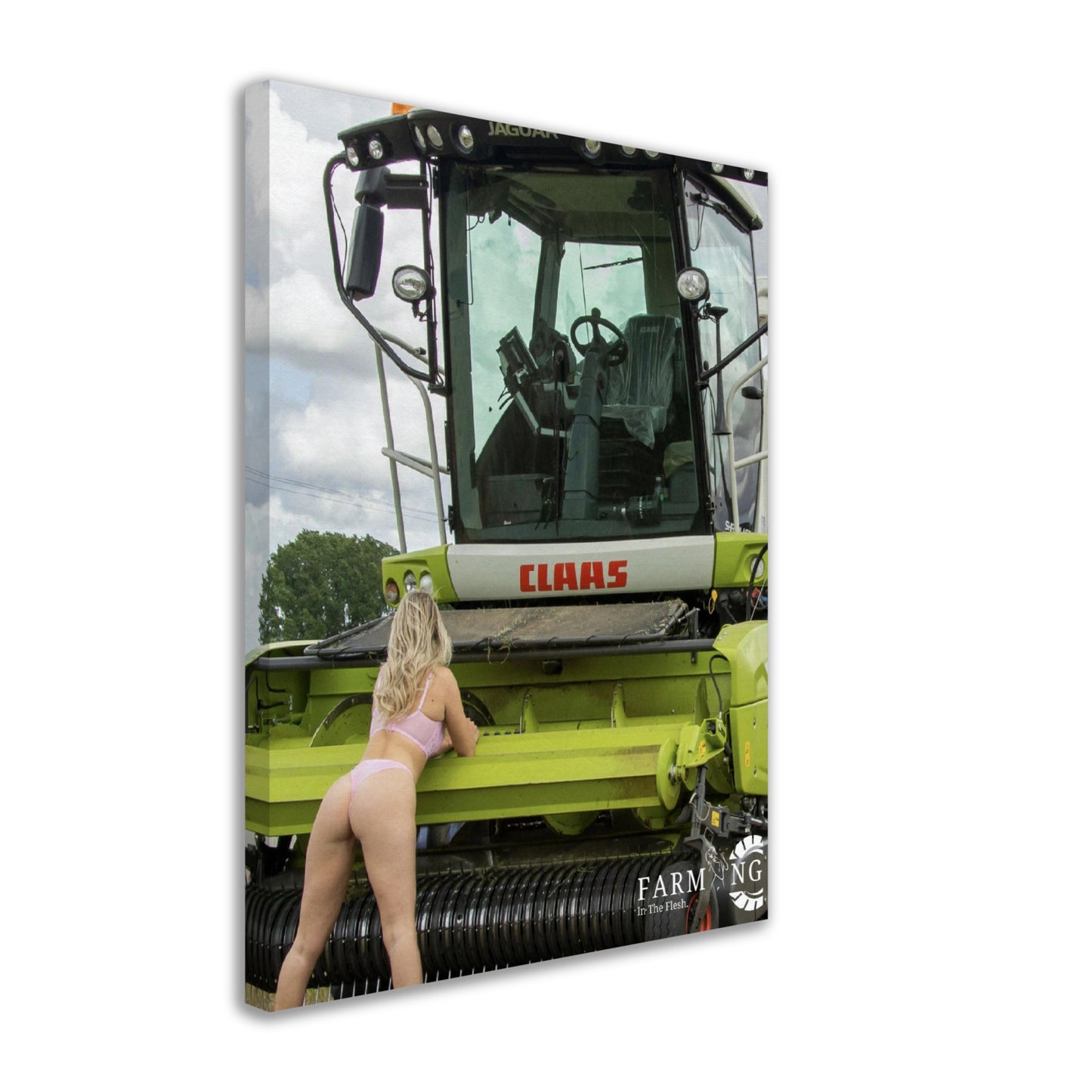 Claas Forager Canvas