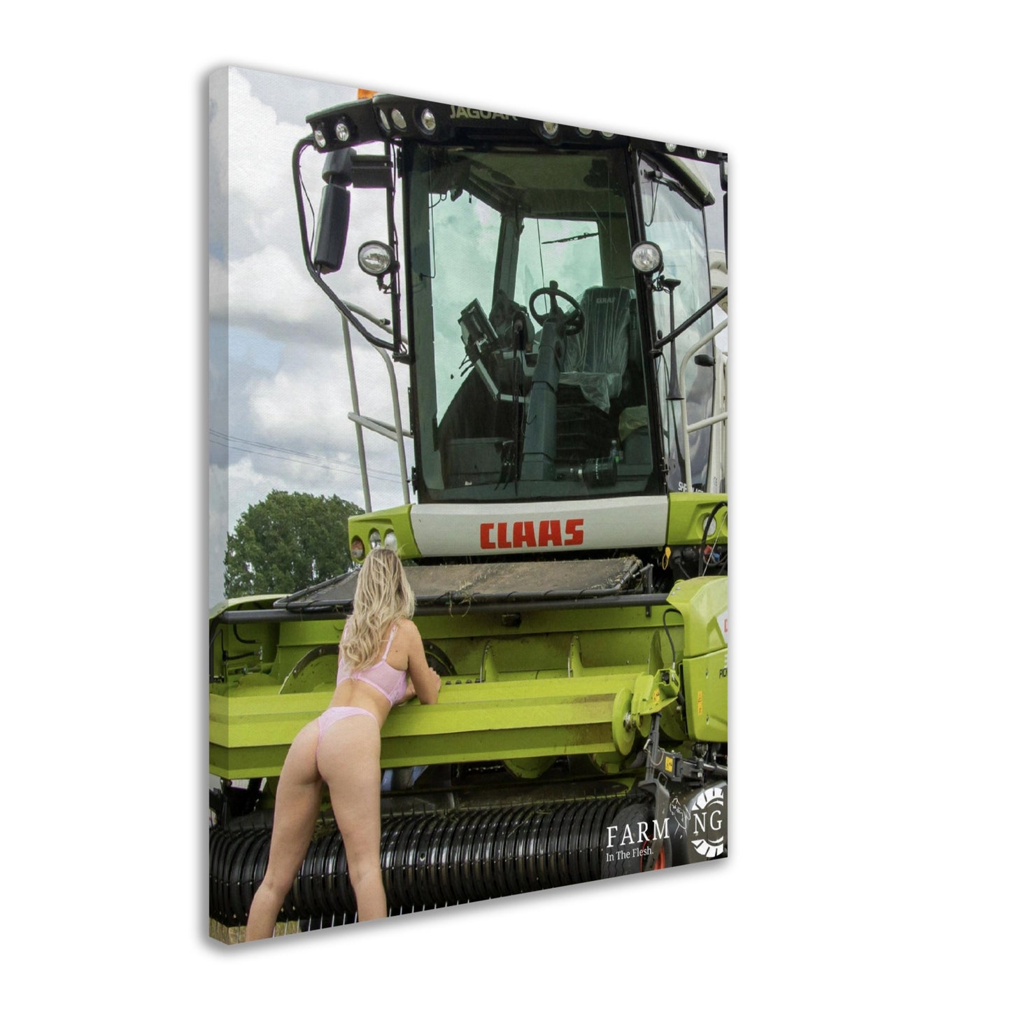 Claas Forager Canvas